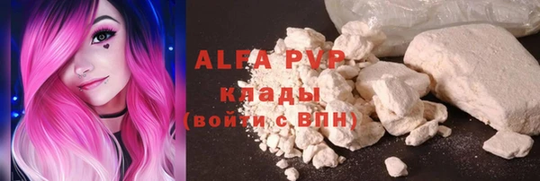 дживик Осинники