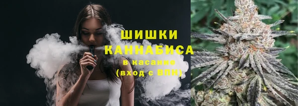 эйфоретик Осташков