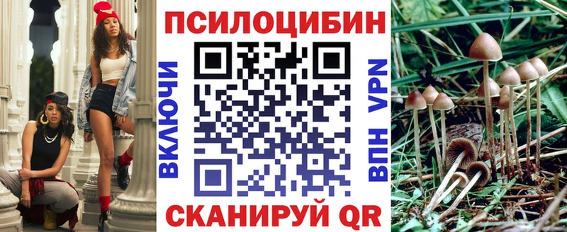 где можно купить   Ардон  Псилоцибиновые грибы Magic Shrooms 